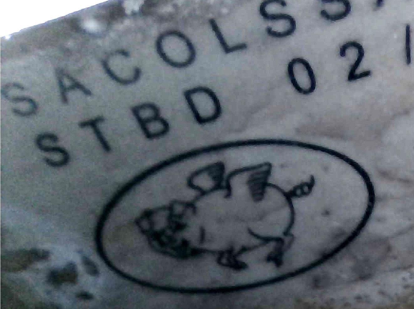 d15-pig-3.jpg